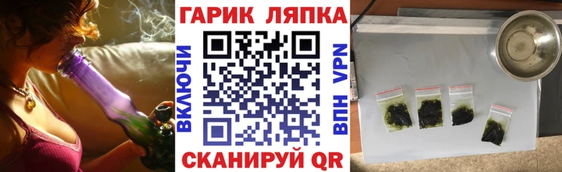 OMG tor Киров Гашиш индика сатива