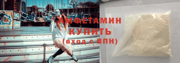 индика Мегион