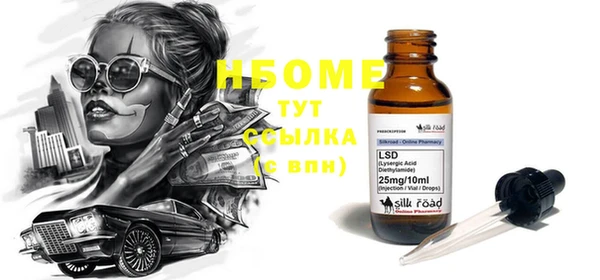 индика Мегион