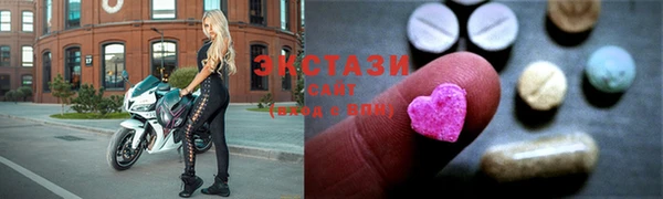 индика Мегион