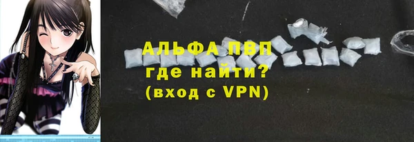 индика Мегион