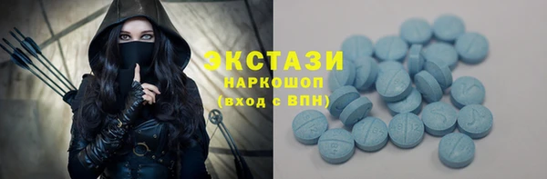 индика Мегион