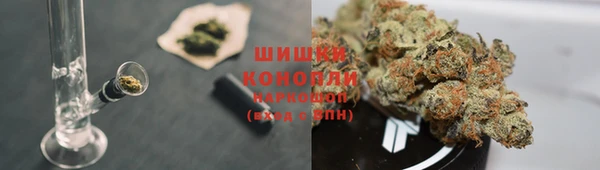 индика Мегион