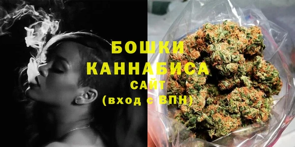 индика Мегион
