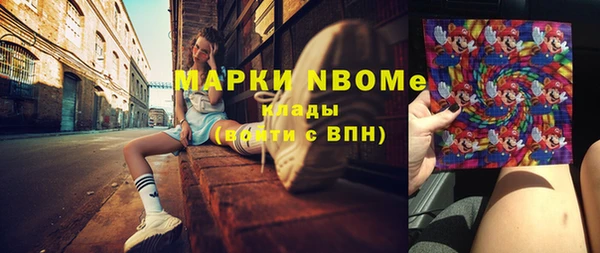 индика Мегион