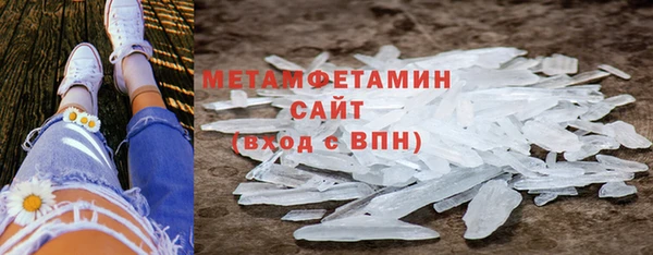 индика Мегион
