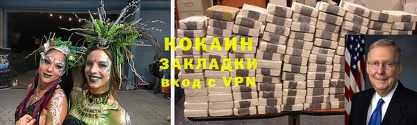 индика Мегион