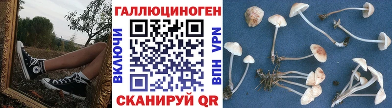продажа наркотиков  Киров  Галлюциногенные грибы MAGIC MUSHROOMS 